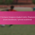 3-2-4-1 Formace: Integrace mladých hráčů, Přizpůsobení se úrovni dovedností, Týmová soudržnost