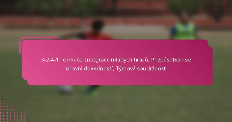 3-2-4-1 Formace: Integrace mladých hráčů, Přizpůsobení se úrovni dovedností, Týmová soudržnost