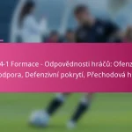 3-2-4-1 Formace – Odpovědnosti hráčů: Ofenzivní podpora, Defenzivní pokrytí, Přechodová hra