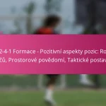 3-2-4-1 Formace – Pozitivní aspekty pozic: Role hráčů, Prostorové povědomí, Taktické postavení