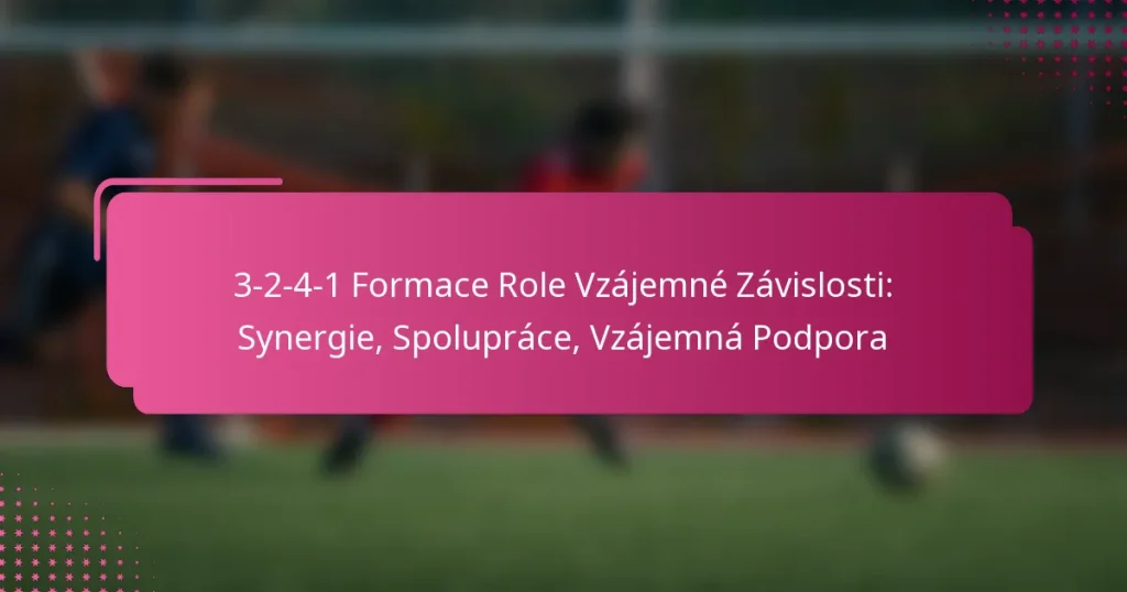 3-2-4-1 Formace Role Vzájemné Závislosti: Synergie, Spolupráce, Vzájemná Podpora