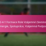 3-2-4-1 Formace Role Vzájemné Závislosti: Synergie, Spolupráce, Vzájemná Podpora