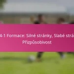 3-2-4-1 Formace: Silné stránky, Slabé stránky, Přizpůsobivost
