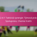 3-2-4-1 Taktická synergie: Týmová práce, Spolupráce, Chemie hráčů
